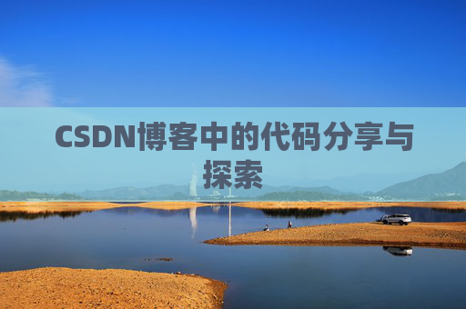 CSDN博客中的代码分享与探索